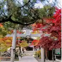 彌彦神社 (伊夜日子神社)(北海道)