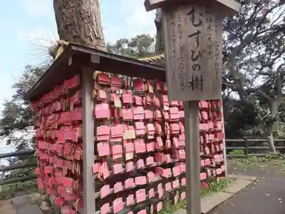 江島神社の絵馬