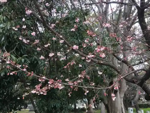 高取神明宮の自然