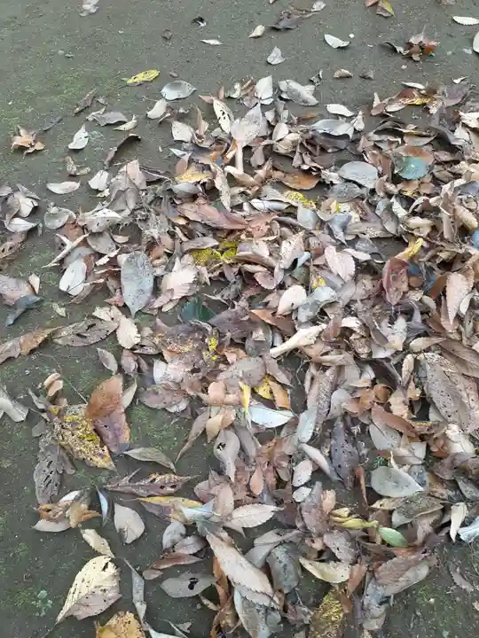 伏木香取神社(茨城県)