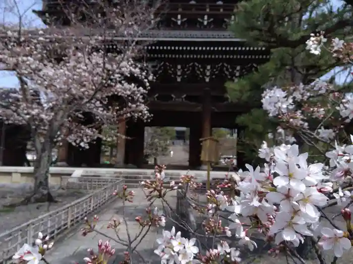 くろ谷 金戒光明寺の山門