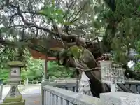 高砂神社の自然