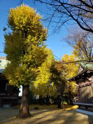 諏訪神社の自然