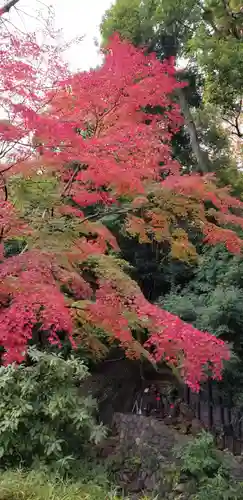 増上寺塔頭 三縁山 宝珠院の周辺