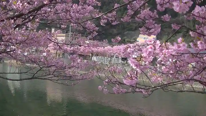 かっぱの寺 栖足寺の自然