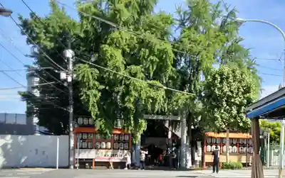 波除神社（波除稲荷神社）(東京都)