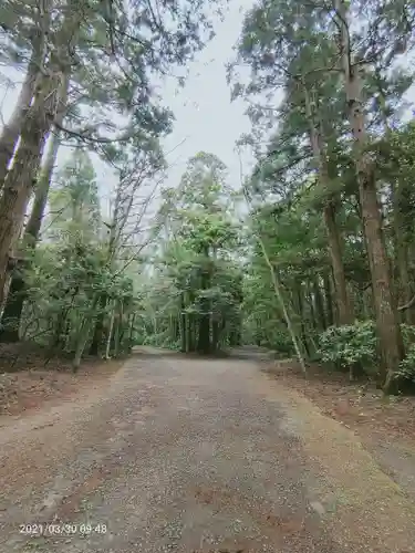 鹿島神宮の自然
