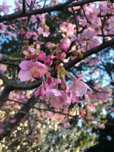 大生郷天満宮の自然
