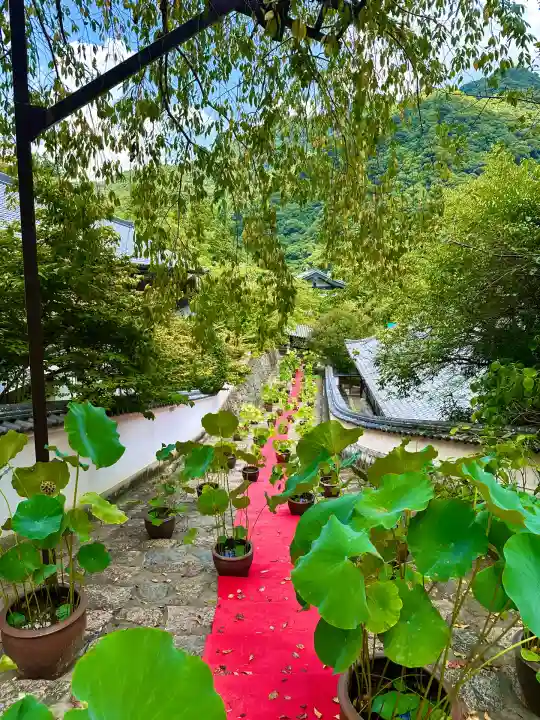 長谷寺(奈良県)