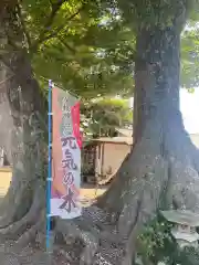 八枝神社(埼玉県)