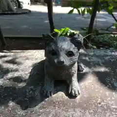 荻窪八幡神社の狛犬