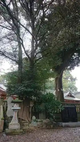 岩槻久伊豆神社の自然