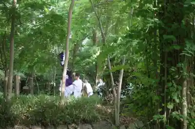 賀茂御祖神社(下鴨神社)(京都府)