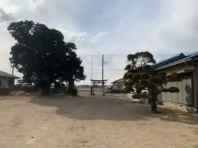 天満神社(千葉県)