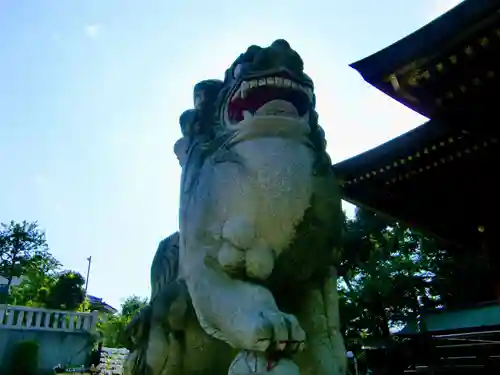 赤羽八幡神社の狛犬