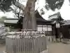 比枝神社(大阪府)