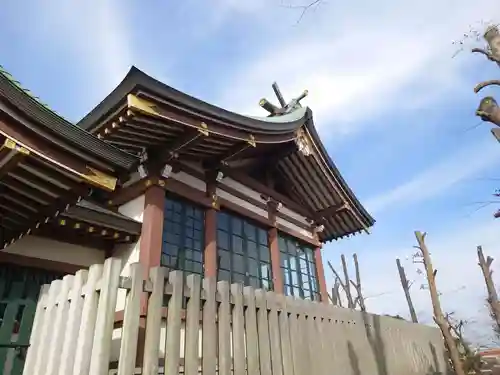 赤塚氷川神社の本殿・本堂