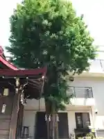 宝神社(千葉県)