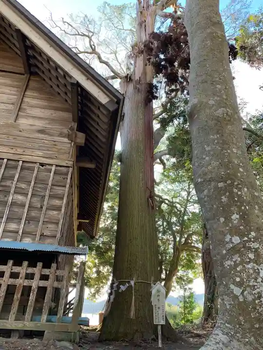 莫越山神社の自然