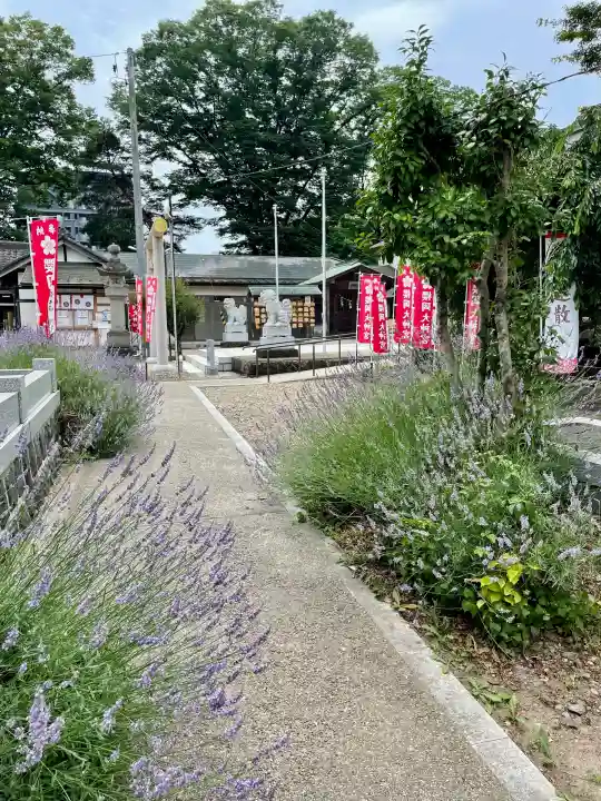 櫻岡大神宮の庭園