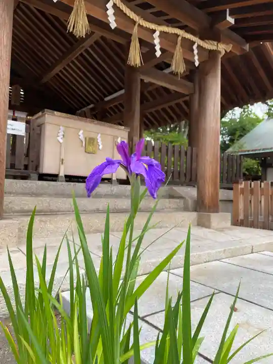 和泉國一之宮 大鳥大社の自然