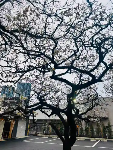 居木神社(東京都)