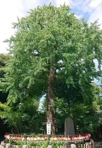 七社神社(東京都)