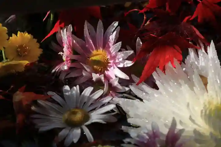 豊景神社の手水舎