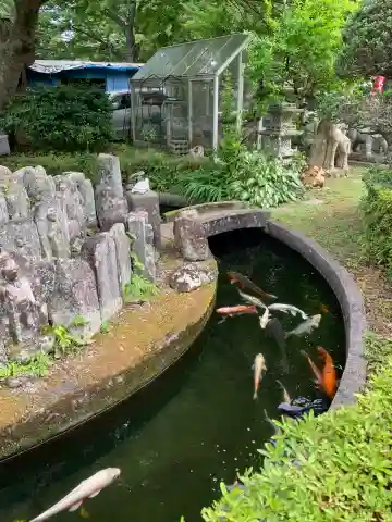 東大寺(千葉県)