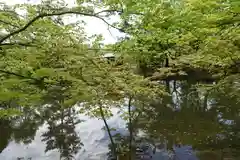 半木神社(京都府)