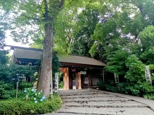 阿佐ヶ谷神明宮(東京都)