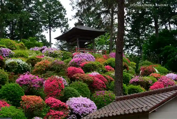 塩船観音寺の景色