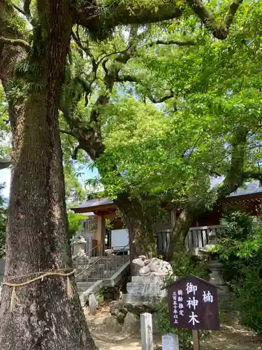 加納天満宮の自然