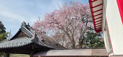 差出磯大嶽山神社 仕事と健康と厄よけの神さま(山梨県)