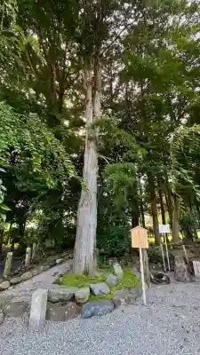 新橋浅間神社(静岡県)