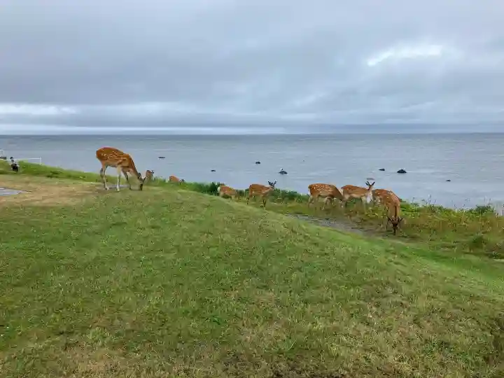 北門神社(北海道)
