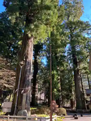 河口浅間神社のその他建物