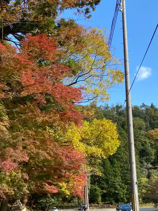 柳谷観音 楊谷寺(京都府)