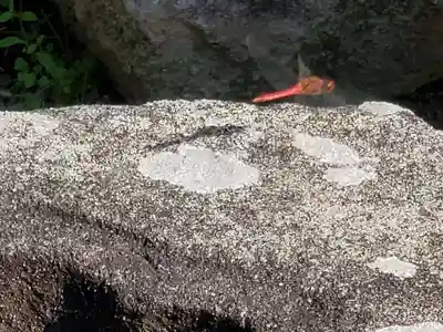 若宮八幡宮の動物