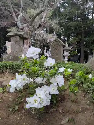 伏木香取神社(茨城県)
