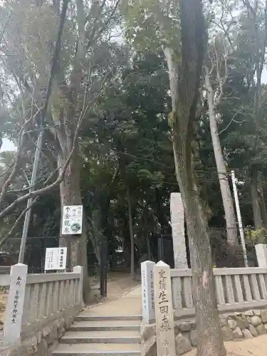 生田神社の{uncategorized: "未分類", other: "その他", undefined: "問題あり", building: "その他建物", grave: "お墓", sacred_gate: "鳥居", guardian: "狛犬", statue: "像", buddha: "仏像", history: "歴史", nature: "自然", garden: "庭園", animal: "動物", pagoda: "塔", temizu: "手水舎", mountain_gate: "山門・神門", sanctuary: "本殿・本堂", subordinate: "末社・摂社", art: "芸術", scenery: "景色", jizo: "地蔵", ema: "絵馬", goshuin: "御朱印", omikuji: "おみくじ", items: "授与品その他", amulet: "お守り", goshuincho: "御朱印帳", eats: "食事", festival: "お祭り", votive_dance: "神楽", shichigosan: "七五三参", wedding: "結婚式", experience: "体験その他", initially: "初詣", around: "周辺", anti_infection: "感染症対策"}