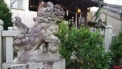 亀戸水神社の狛犬