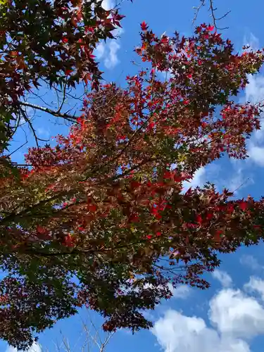 普門寺(切り絵御朱印発祥の寺)の自然
