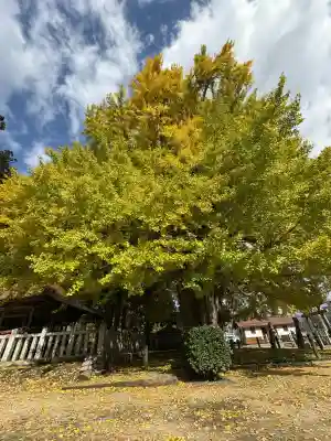 筒賀大歳神社(広島県)