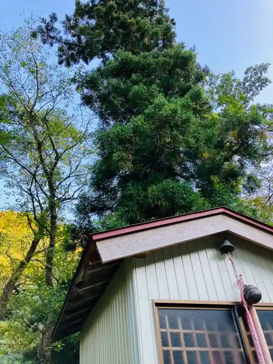 妙龍神社(新潟県)