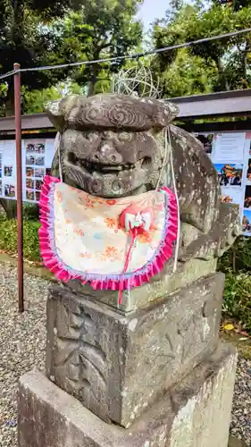 菊田神社の狛犬