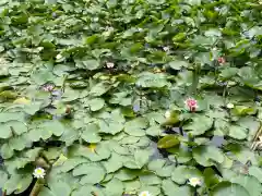 大生郷天満宮の自然