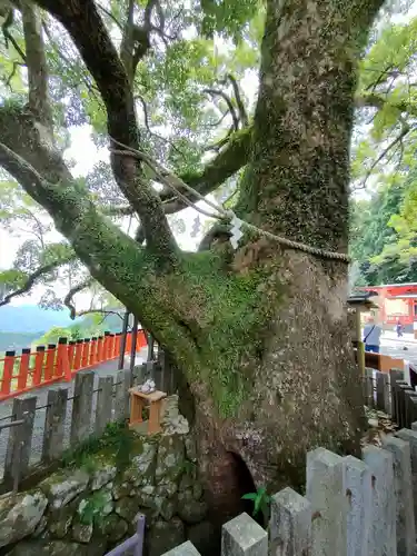 熊野那智大社の自然