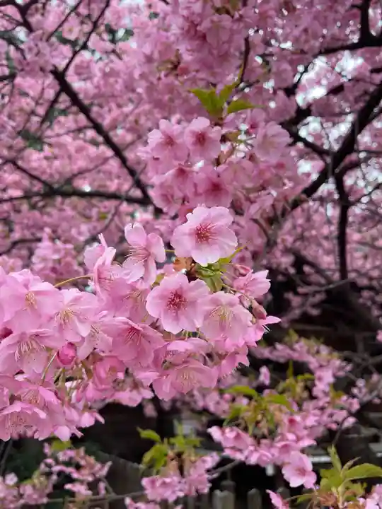 新宿下落合氷川神社(東京都)