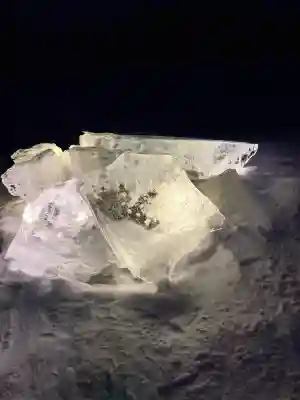 士幌神社の{uncategorized: "未分類", other: "その他", undefined: "問題あり", building: "その他建物", grave: "お墓", sacred_gate: "鳥居", guardian: "狛犬", statue: "像", buddha: "仏像", history: "歴史", nature: "自然", garden: "庭園", animal: "動物", pagoda: "塔", temizu: "手水舎", mountain_gate: "山門・神門", sanctuary: "本殿・本堂", subordinate: "末社・摂社", art: "芸術", scenery: "景色", jizo: "地蔵", ema: "絵馬", goshuin: "御朱印", omikuji: "おみくじ", items: "授与品その他", amulet: "お守り", goshuincho: "御朱印帳", eats: "食事", festival: "お祭り", votive_dance: "神楽", shichigosan: "七五三参", wedding: "結婚式", experience: "体験その他", initially: "初詣", around: "周辺", anti_infection: "感染症対策"}